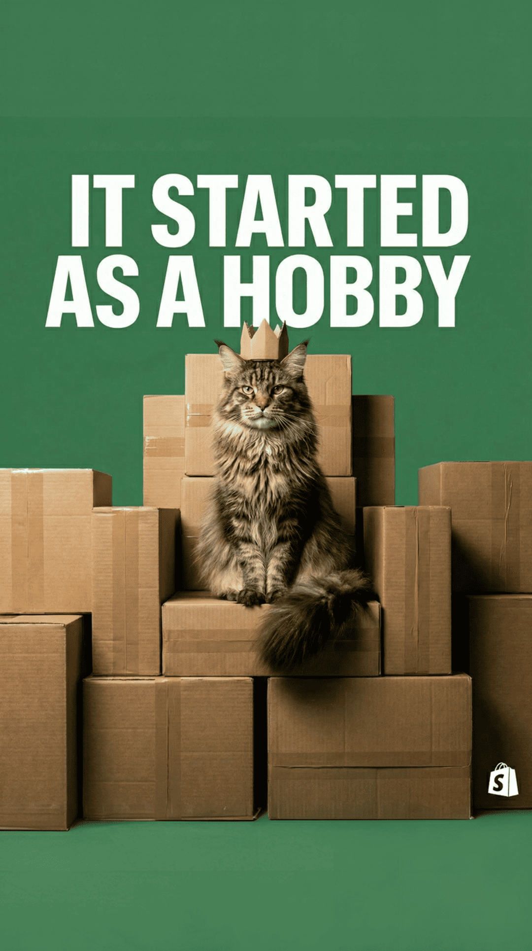 Brand ad — a cat wearing a cardboard crown
